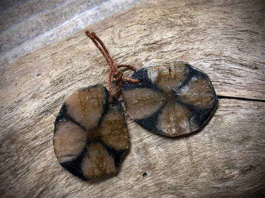 Chiastolite Gemstone Pair